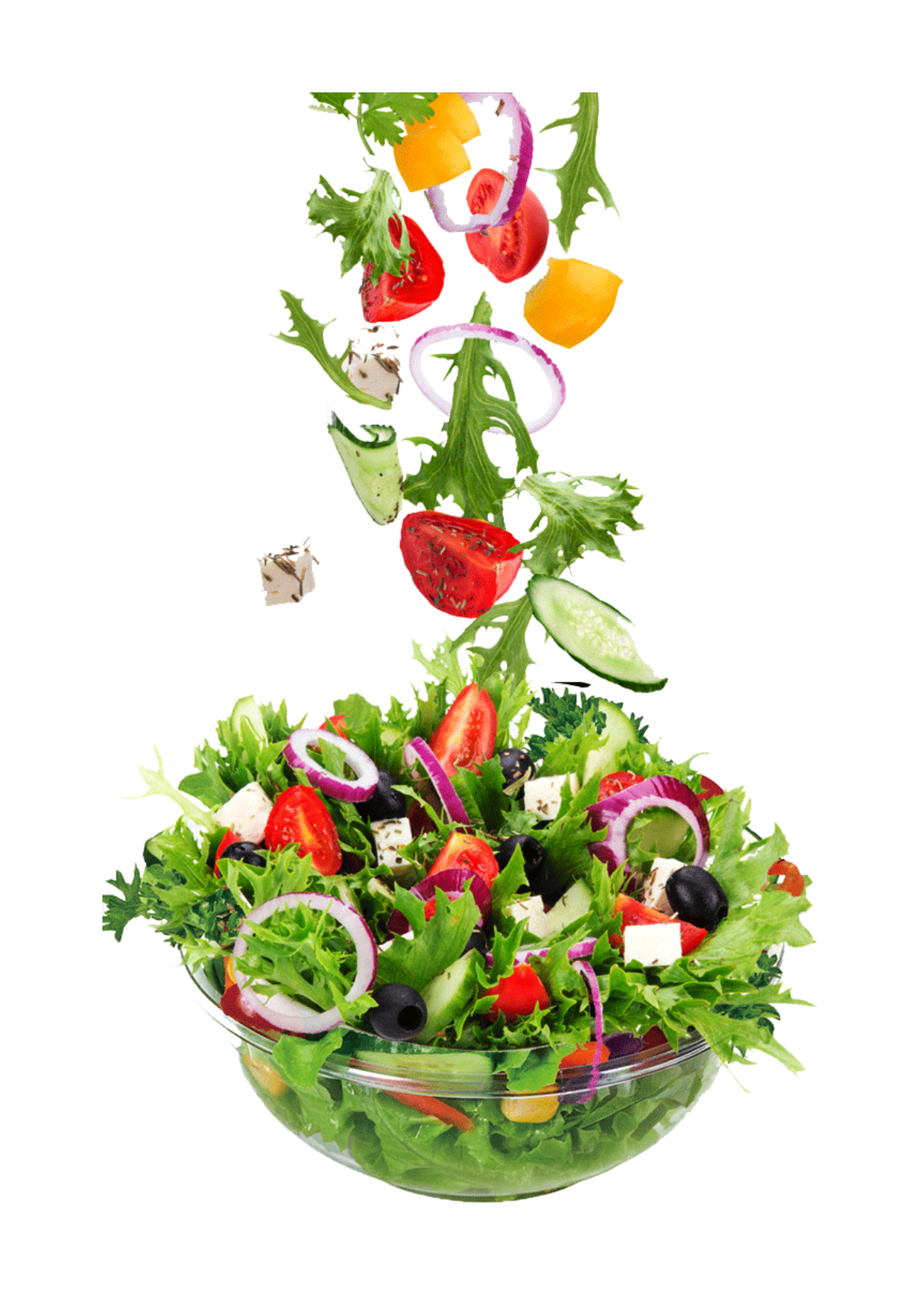 VEGANSKÁ A VEGETARIÁNSKÁ DIETA